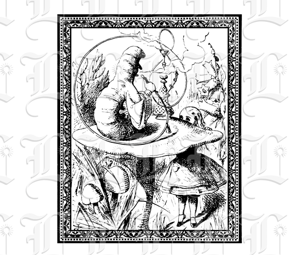 Black and White Framed Alice and the Caterpillar Illustration with Caption High Resolution 300 dpi.