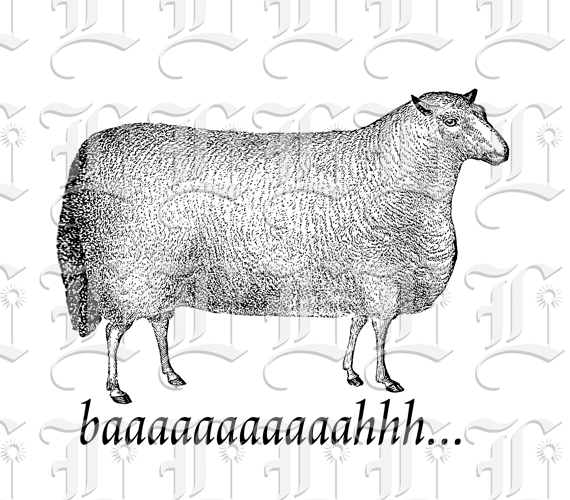 Sheep With Onomatopoeic Caption Vintage Illustration