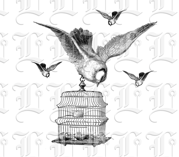 Pigeons Flying Carrying Caged Woman Illustration High Resolution 300 dpi.