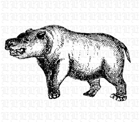 Hippo, Hippopotamus African Wild Animal Antique Image Clip Art For Digital or Print Use 300 dpi