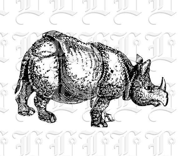 Vintage African Wild Animal Rhino, Rhinoceros Printable Clip Art High Resolution