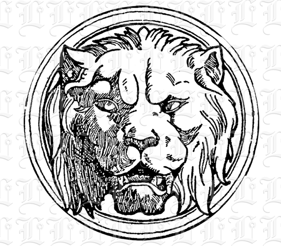 Feline Tiger Head Line Drawing Antique Border Detail Vintage Clip Art Illustrations High Resolution 300 dpi Printable Graphic