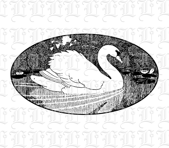 White Swan on Lake Vintage Clip Art Illustrations High Resolution 300 dpi Antique Printable Graphic