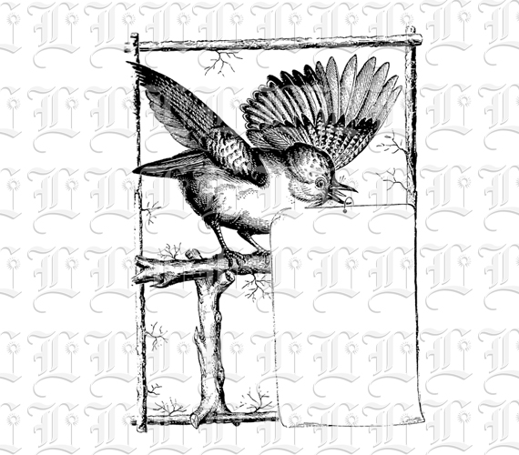 Antique Advertising Banner Bird Holding Blank Card Vintage Clip Art Illustrations High Resolution 300 dpi Antique Printable Graphic