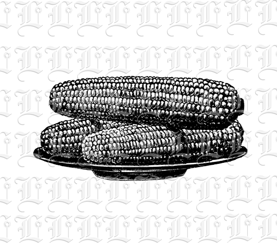 Plate of Corn on Cobs Vintage Illustration