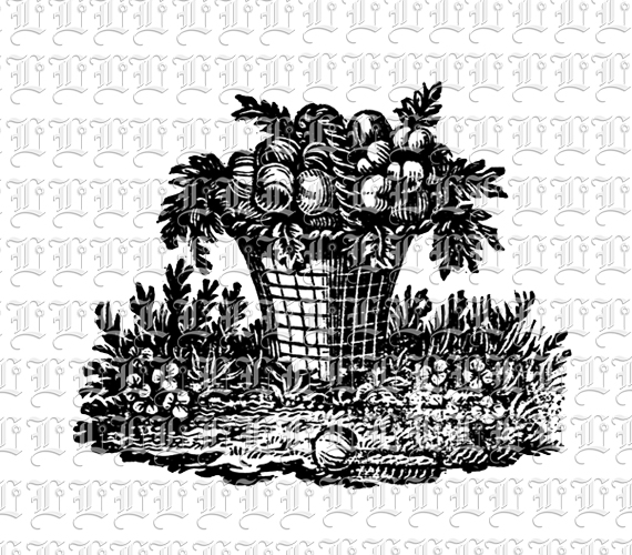 Peaches and Flowers in Basket Vintage Clip Art Illustration