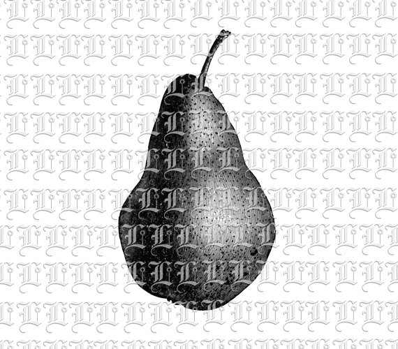 Pear Vintage Clip Art Illustration 300 dpi High Resolution 300 dpi.