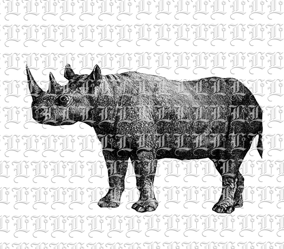 Rhino Rhinoceros Wild African Animal Vintage Clip Art Illustrations High Resolution 300 dpi Antique Printable Graphic