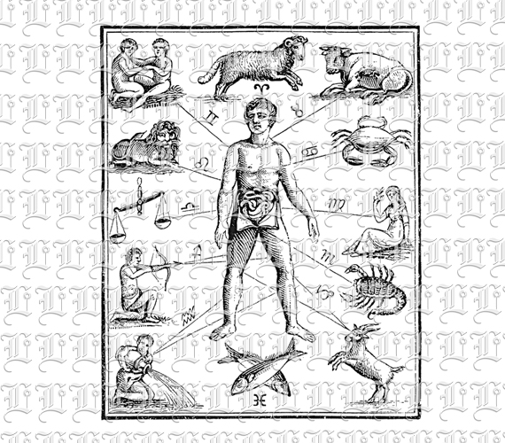 Health Zodiac Chart Vintage Clip Art Illustration 300dpi High Resolution 300 dpi