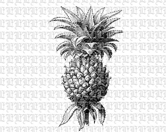 Pineapple Juicy Tropical Fruit Vintage Clip Art Illustration High Resolution 300 dpi. Digital Printable Graphic