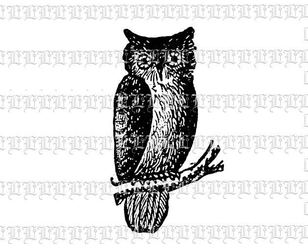 Knowledge Wisdom Owl Bird Antique Black And White Illustration Printable Graphic 300 dpi