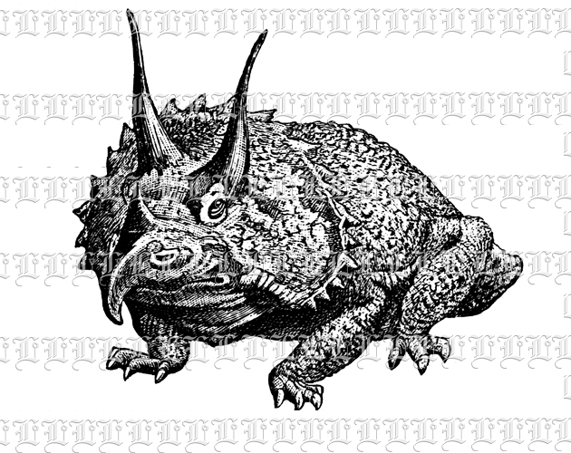 Triceratops Primitive Animal Dinosaur Black and White Vintage Illustration High Resolution