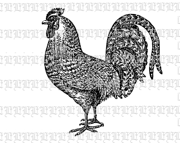 rooster clipart black - photo #38