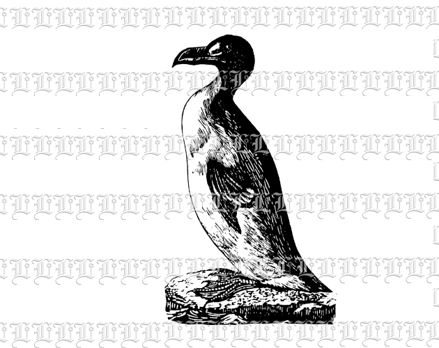 Pinguin Polar Animal Vintage Graphic High Quality Printable Image