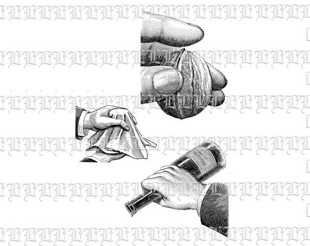 Hand Gestures Drink Pouring, Holding Handkerchief /Nut Vintage ClipArt Illustration Printable Image