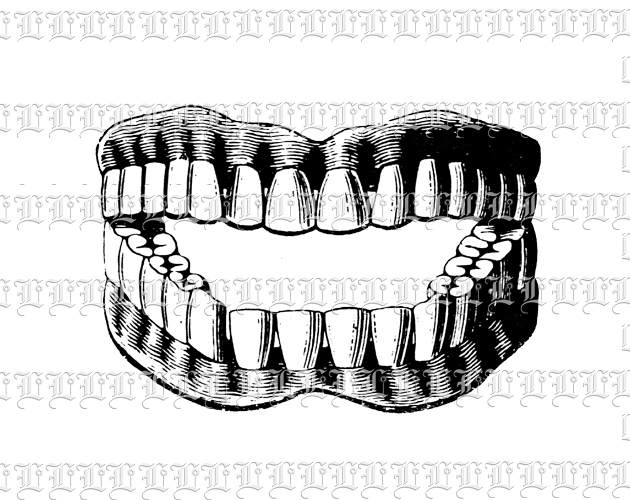 Dentist Teeth Denture Open Jaws Vintage Clip Art Illustration High Resolution 300 dpi.