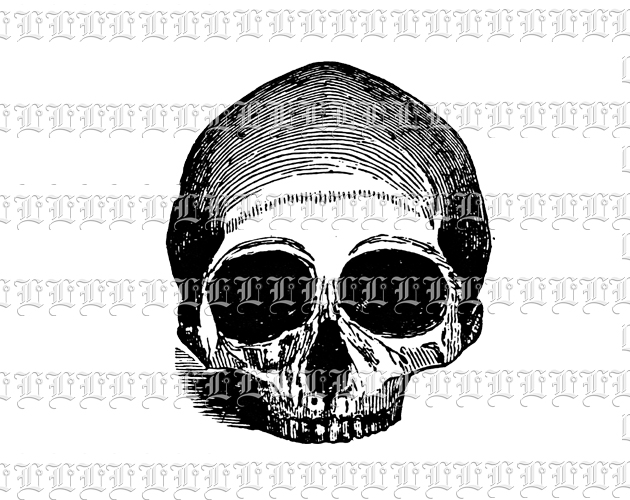 Anatomy Human Skull No Lower Jaw Vintage Clip Art Illustration High Resolution 300 dpi.