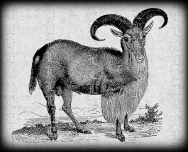 1435a ram