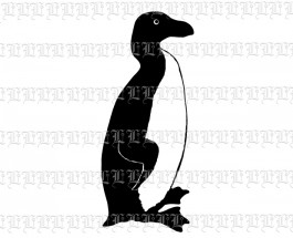 2066b penguinsilhouette