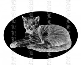 2246b catplate