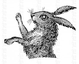 2424b rabbit