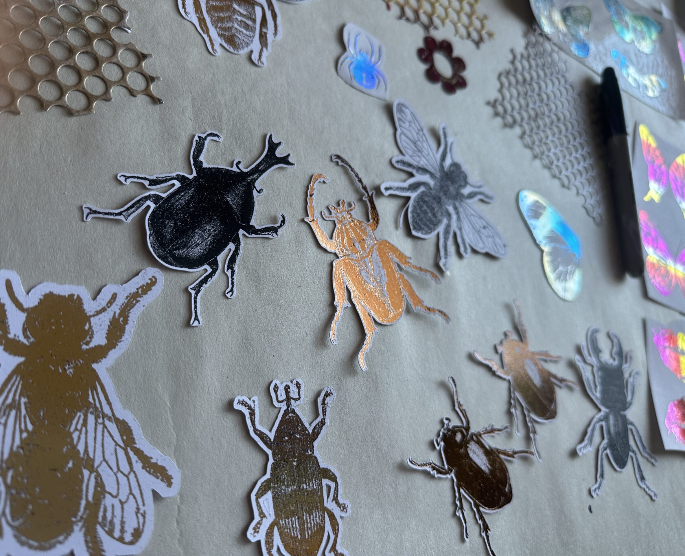 Vintage Insect Illustrations